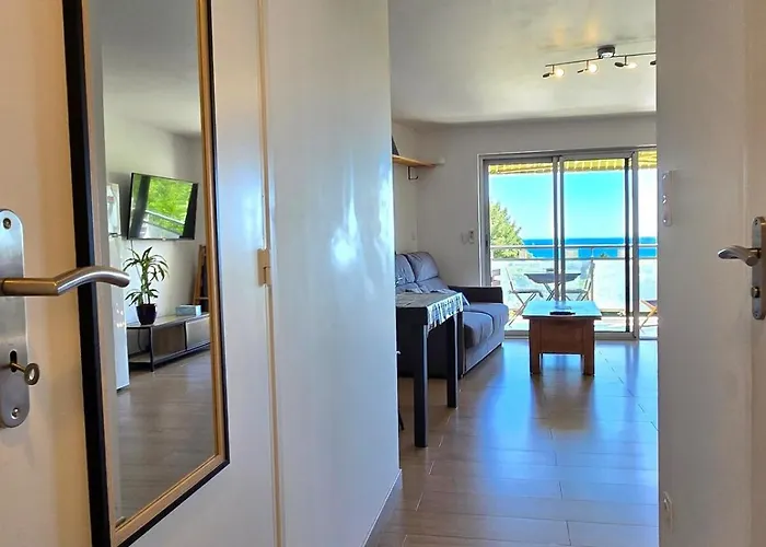 Les Embruns - Super Vue Mer, Refait A Neuf Avec Parking Privee A - By Auraconciergerie 公寓 拉西约塔