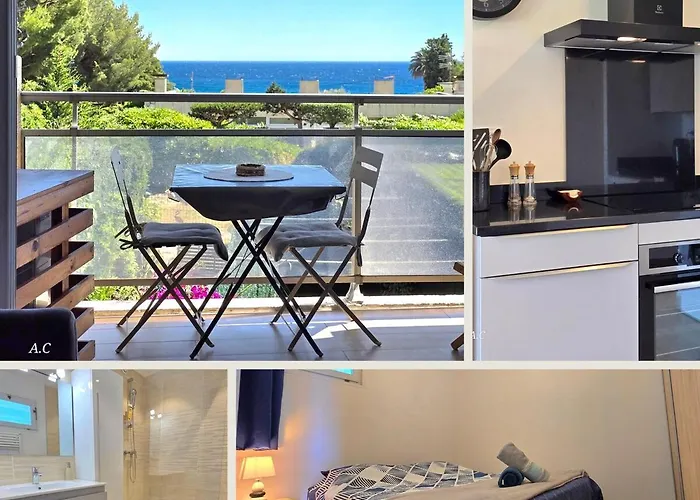 Les Embruns - Super Vue Mer, Refait A Neuf Avec Parking Privee A - By Auraconciergerie 拉西约塔